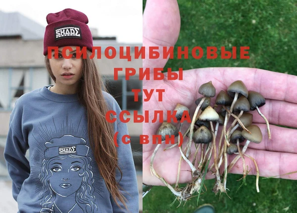 альфа пвп Красноперекопск